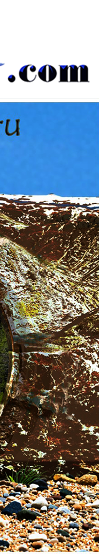Jess Corbin family sci fi #Arcan